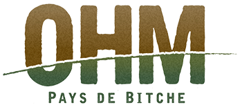ohm_PDB