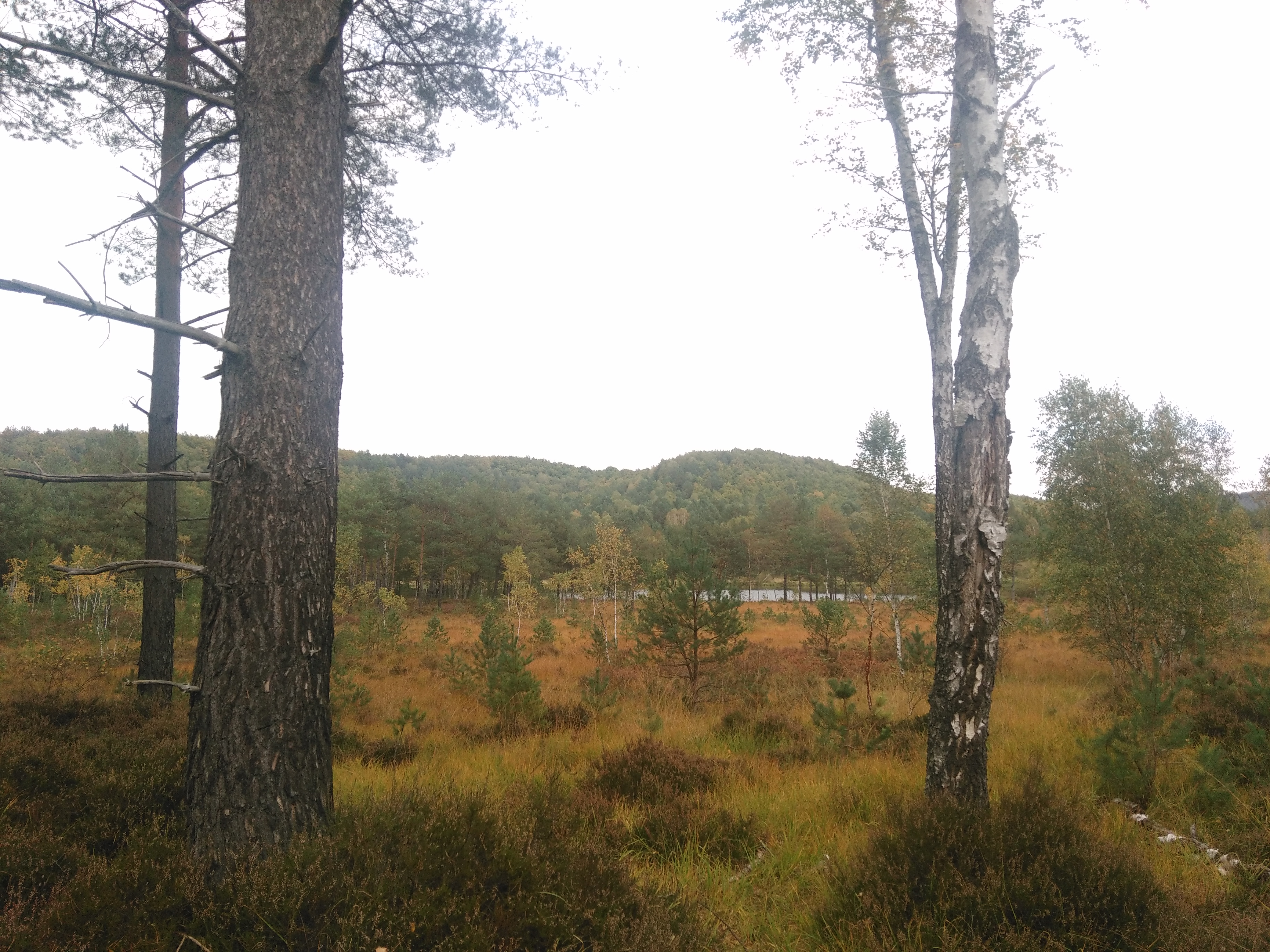 Image d'illustration du projet