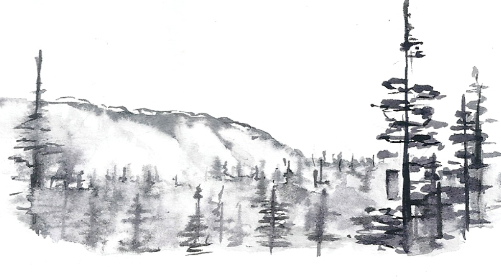 Image d'illustration du projet