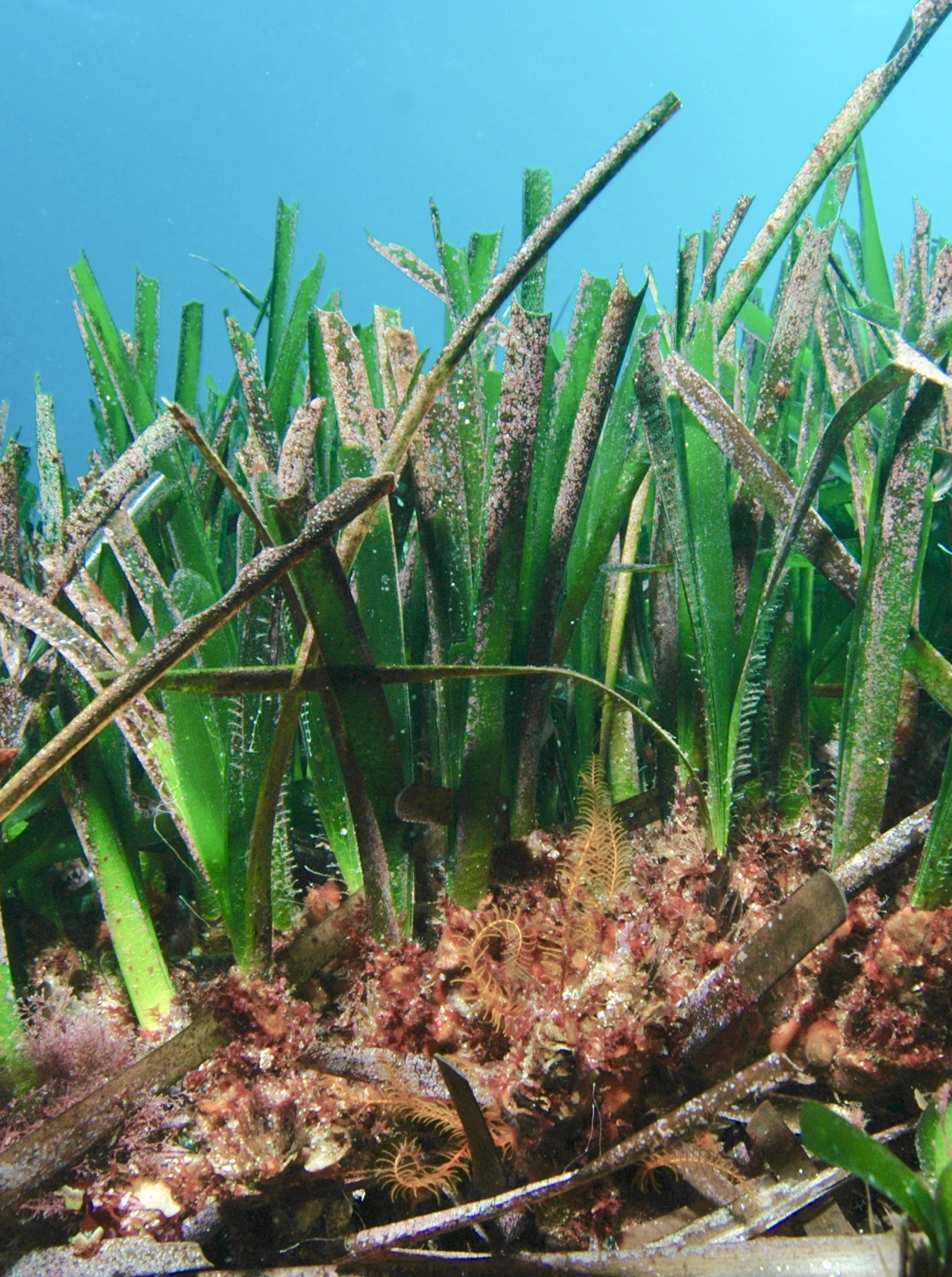 Image d'illustration du projet