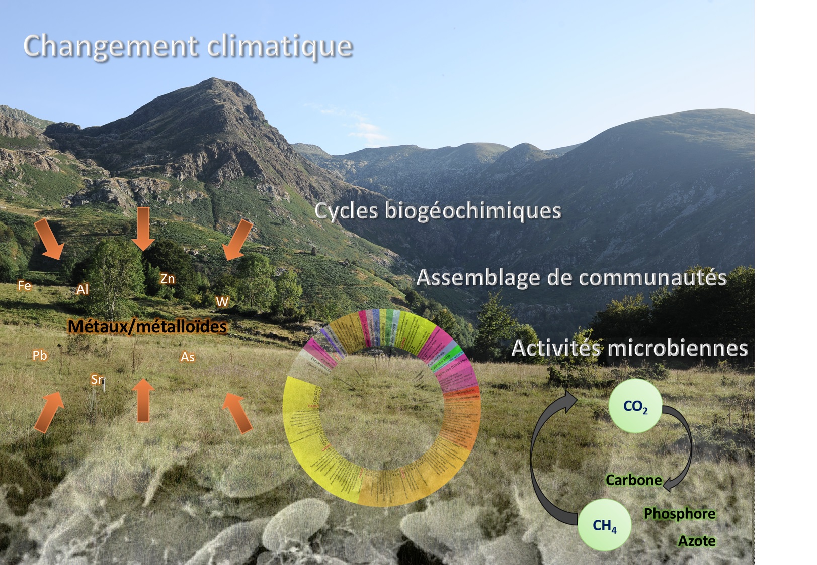 Image d'illustration du projet