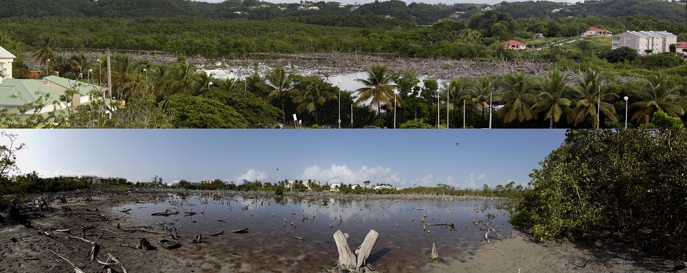 Image d'illustration du projet