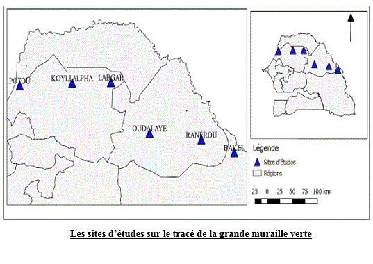 Image d'illustration du projet