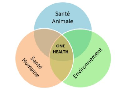 Image d'illustration du projet