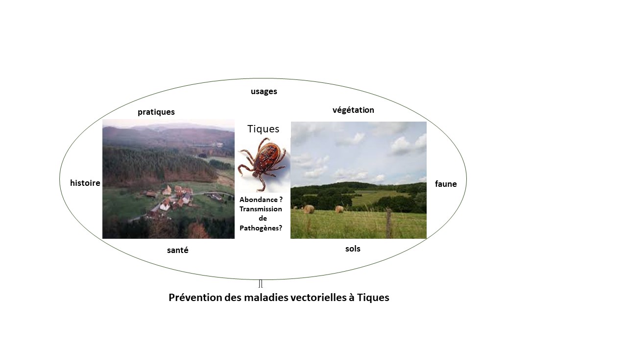 Image d'illustration du projet