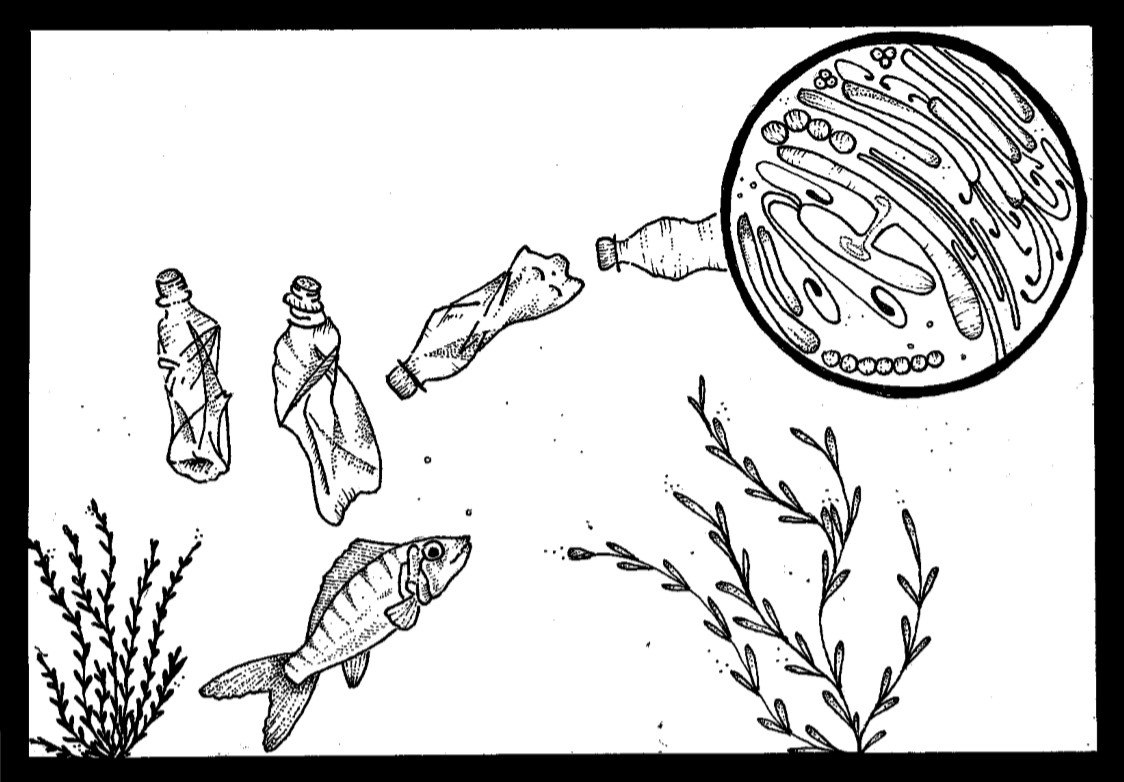 Image d'illustration du projet