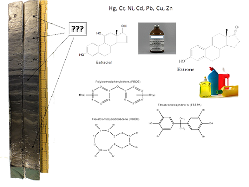 Illustration OHM JP Bedell
