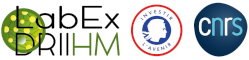 LabEx DRIIHM